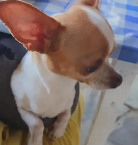 Pansiyon Indie7house